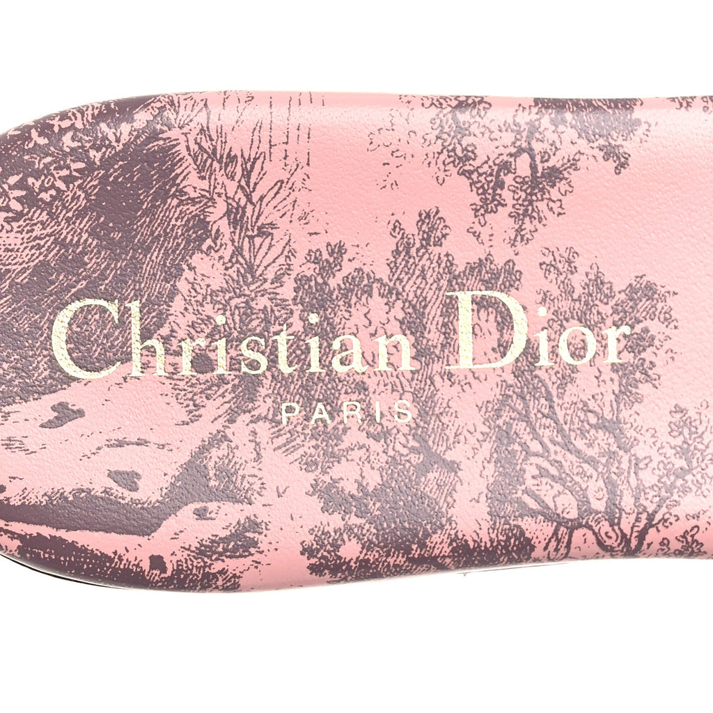 Canvas Toile De Jouy Embroidered Dway Flat Slide Sandals 36 Chateau Rose